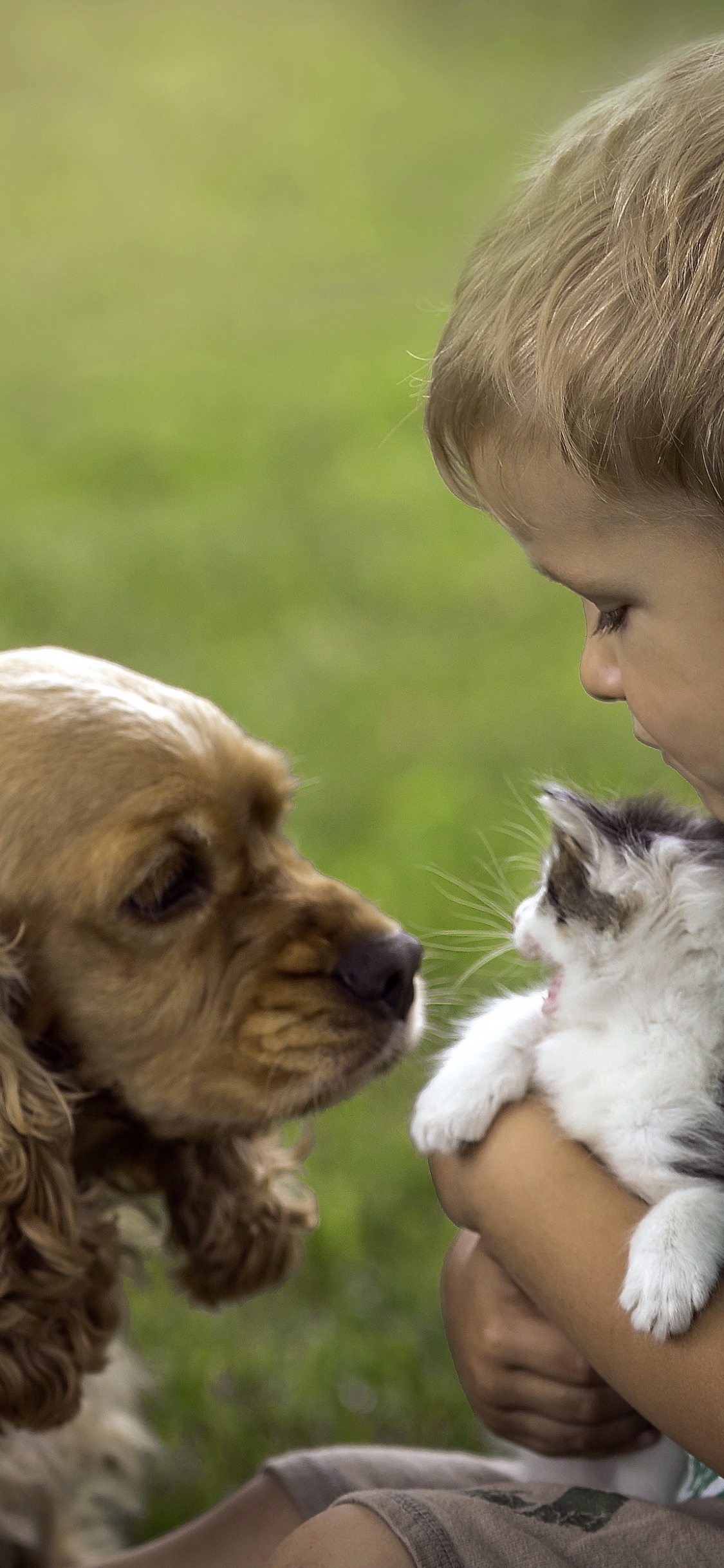 Boy in Brown T-shirt Holding Brown and White Long Coated Small Dog. Wallpaper in 1125x2436 Resolution