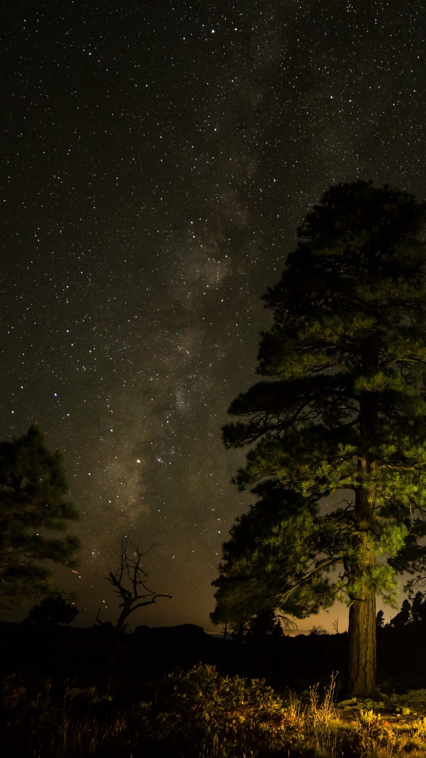 Apple, IPhone, IPhone X, Äpfeln, Ios. Wallpaper in 1440x2560 Resolution