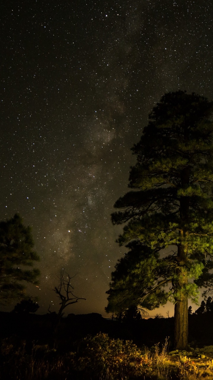 Apple, IPhone, IPhone X, Äpfeln, Ios. Wallpaper in 720x1280 Resolution