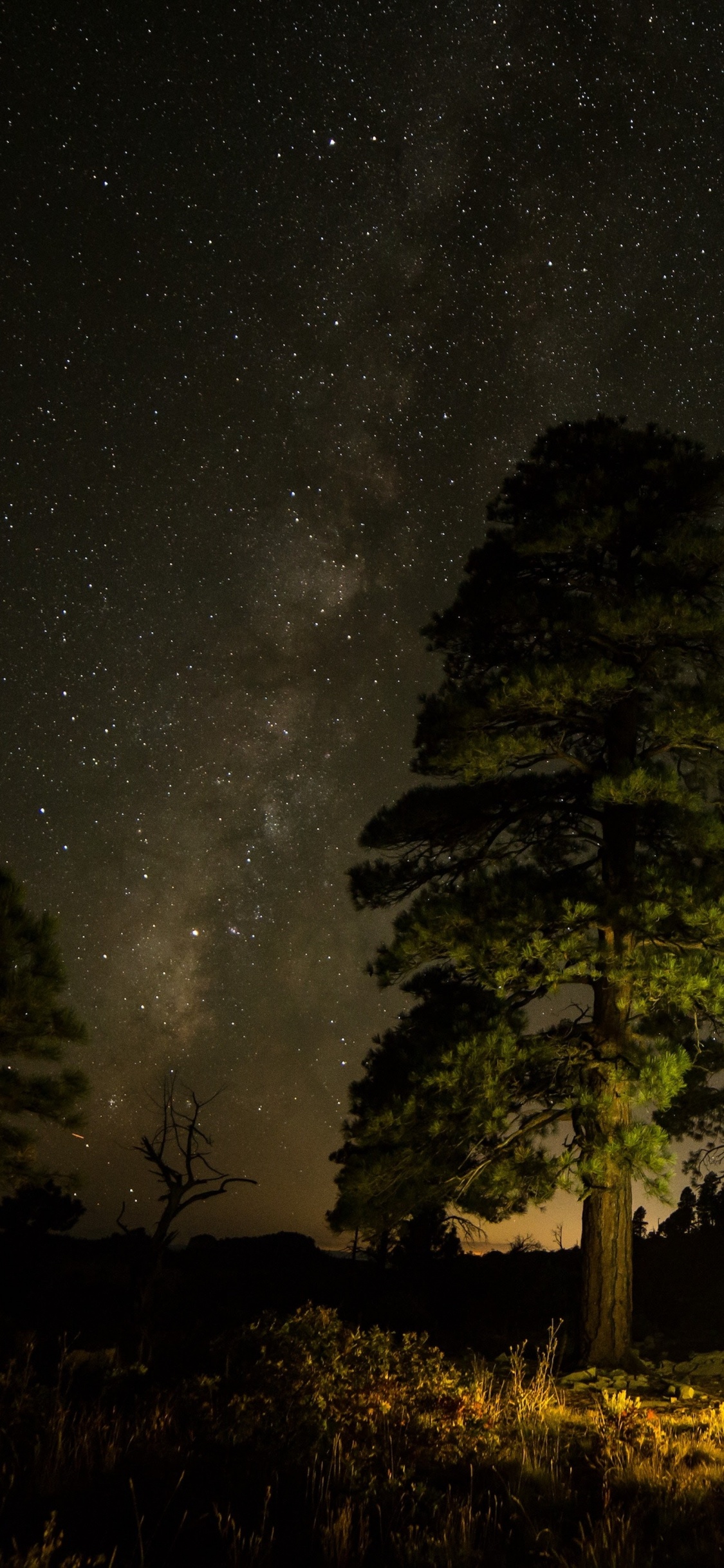 Apple, IPhone, IPhone X, Manzana, Ios. Wallpaper in 1125x2436 Resolution