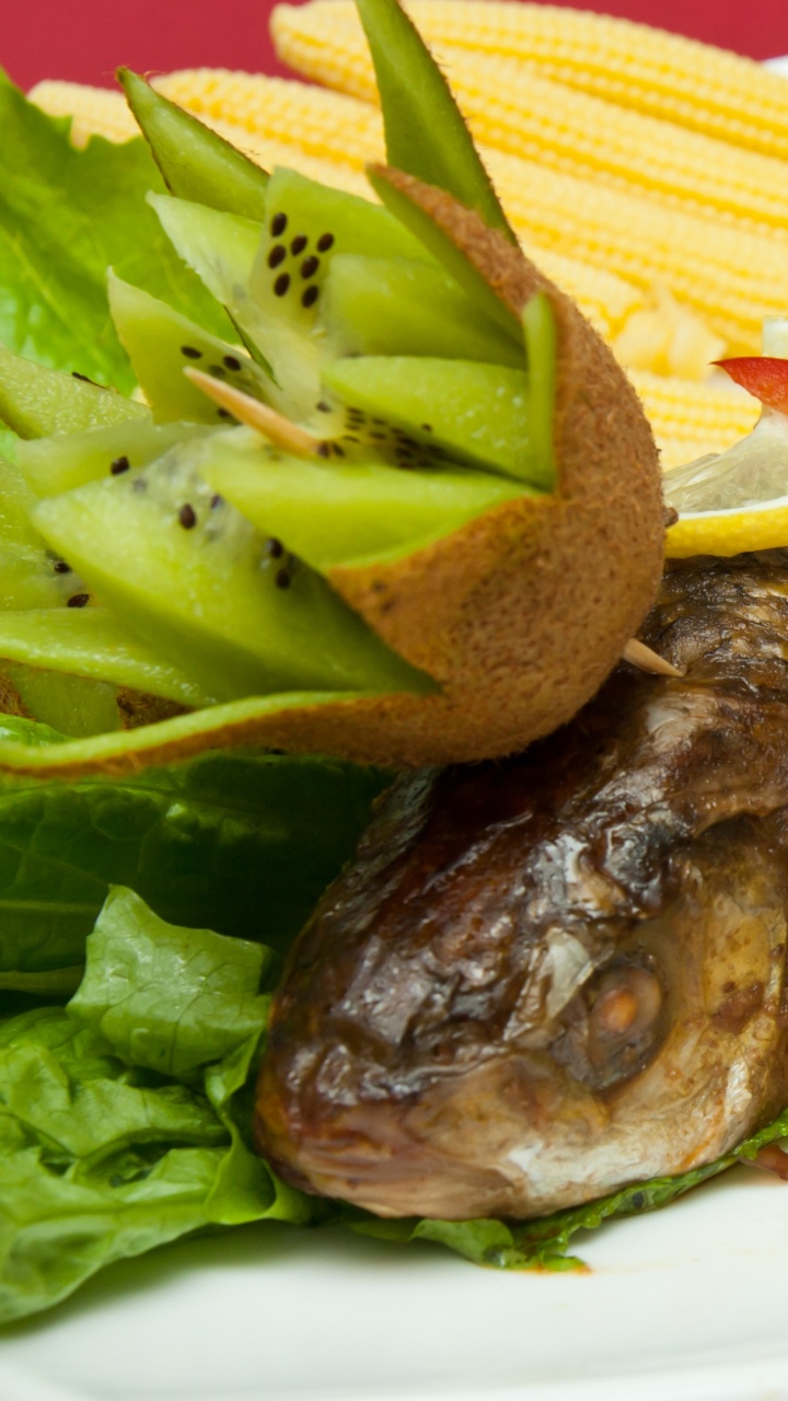 Grilled Meat With Green Vegetable on White Ceramic Plate. Wallpaper in 720x1280 Resolution