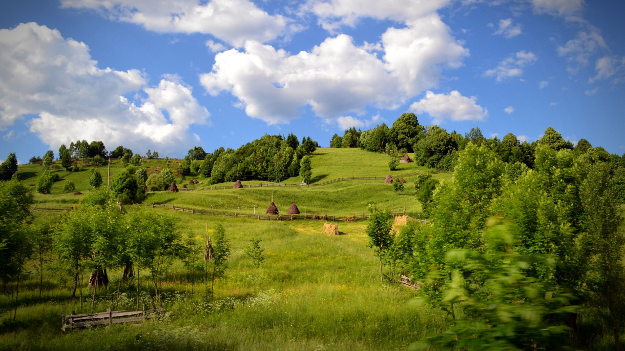 Campo de Hierba Verde Bajo un Cielo Azul Durante el Día. Wallpaper in 1280x720 Resolution