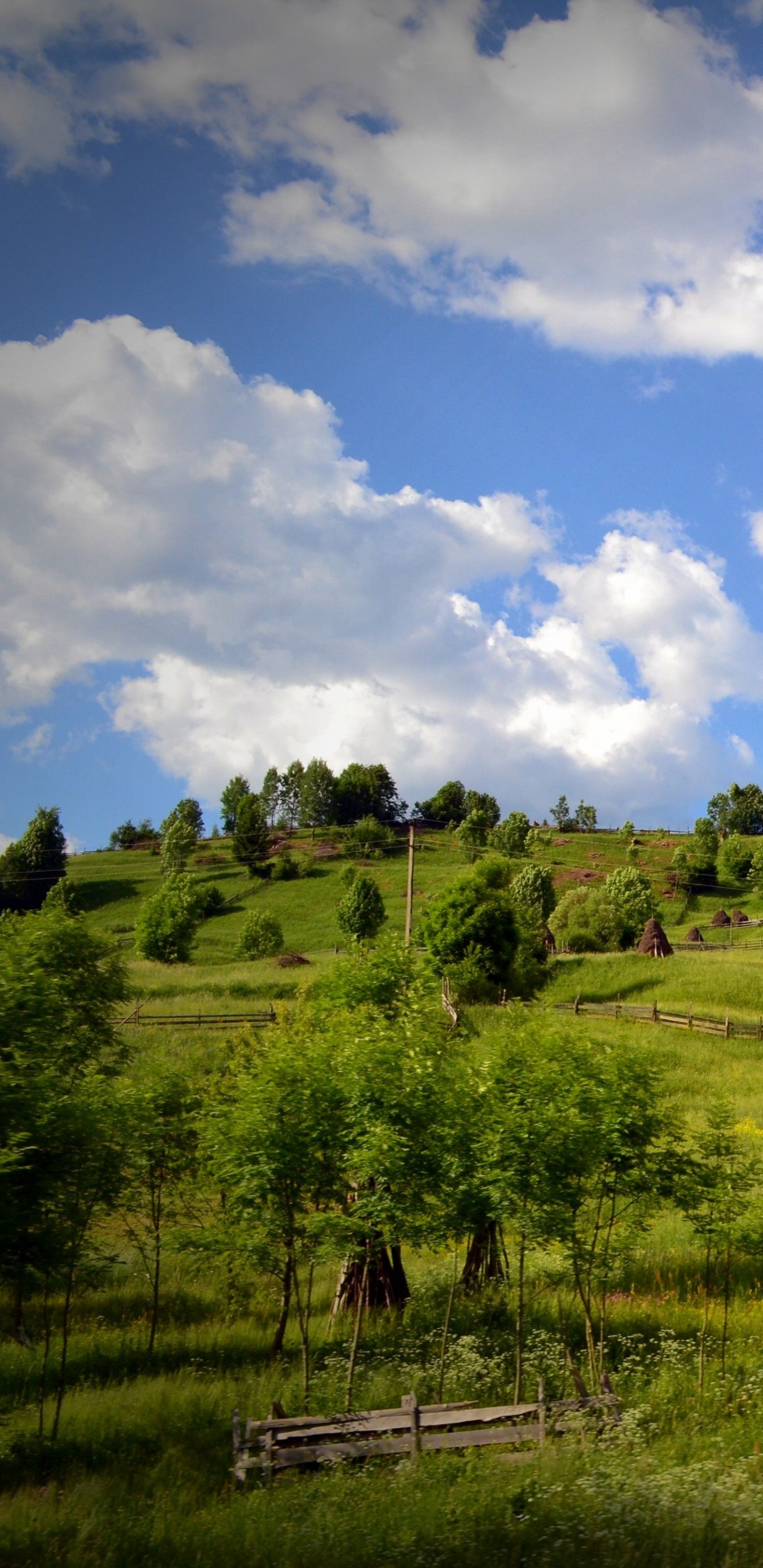Campo de Hierba Verde Bajo un Cielo Azul Durante el Día. Wallpaper in 1440x2960 Resolution