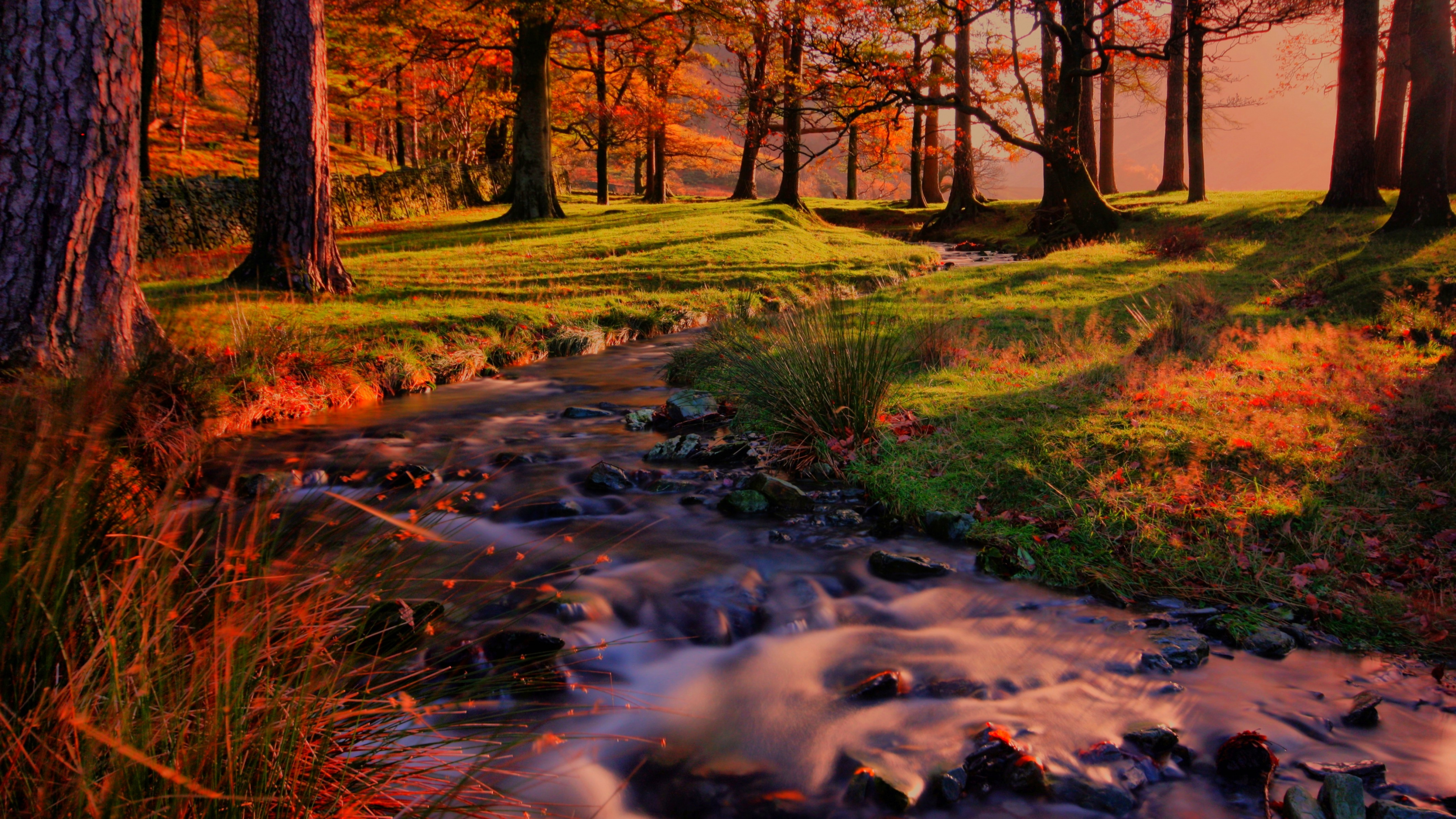 Forest Sunset Scenery, Landscape, Sunset, Sunrise, Plant. Wallpaper in 3840x2160 Resolution