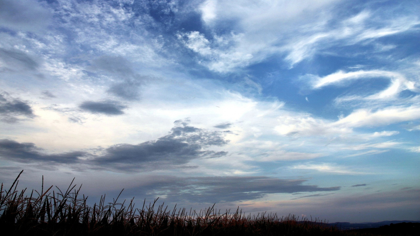 Green Grass Under Blue Sky and White Clouds During Daytime. Wallpaper in 1366x768 Resolution