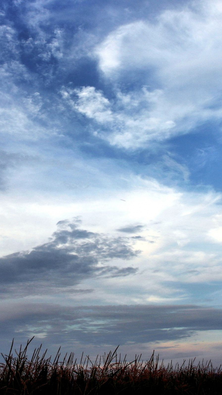 Hierba Verde Bajo un Cielo Azul y Nubes Blancas Durante el Día. Wallpaper in 750x1334 Resolution