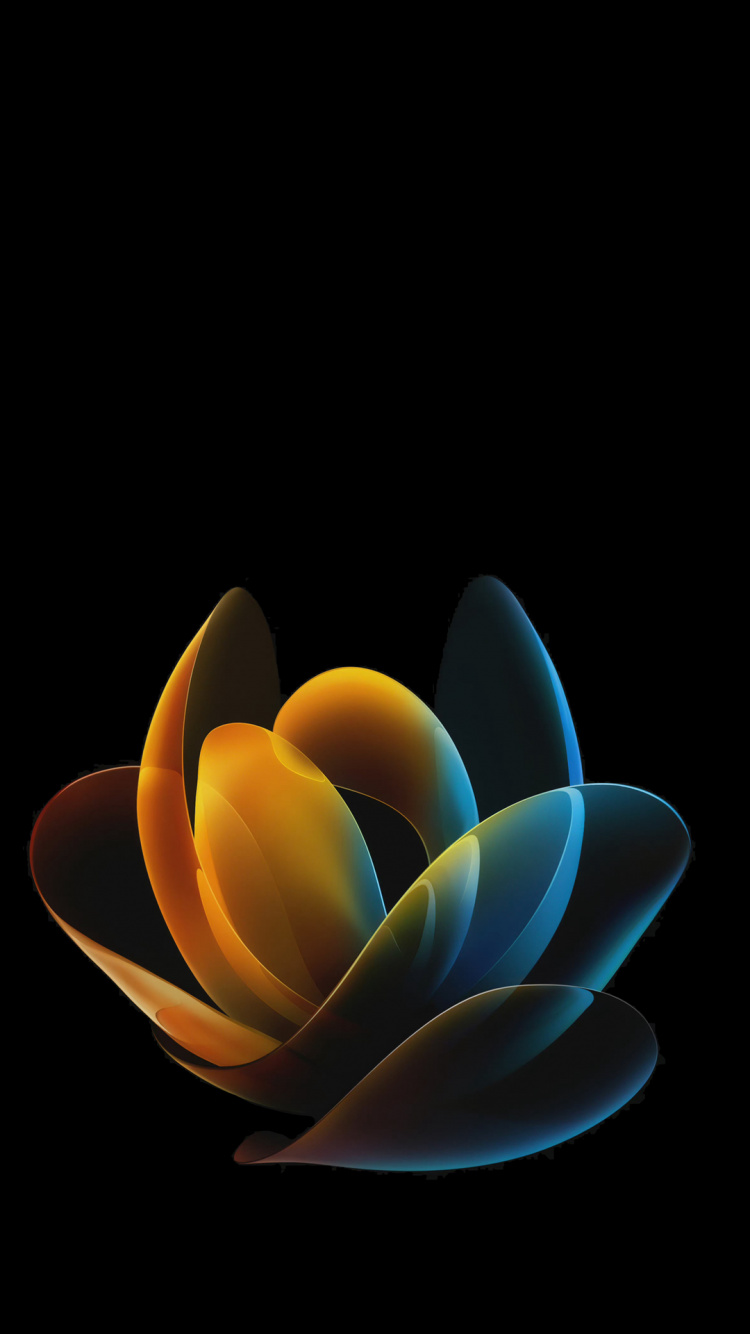 液体, 流体, 陆地上的植物, 气体, 艺术 壁纸 750x1334 允许