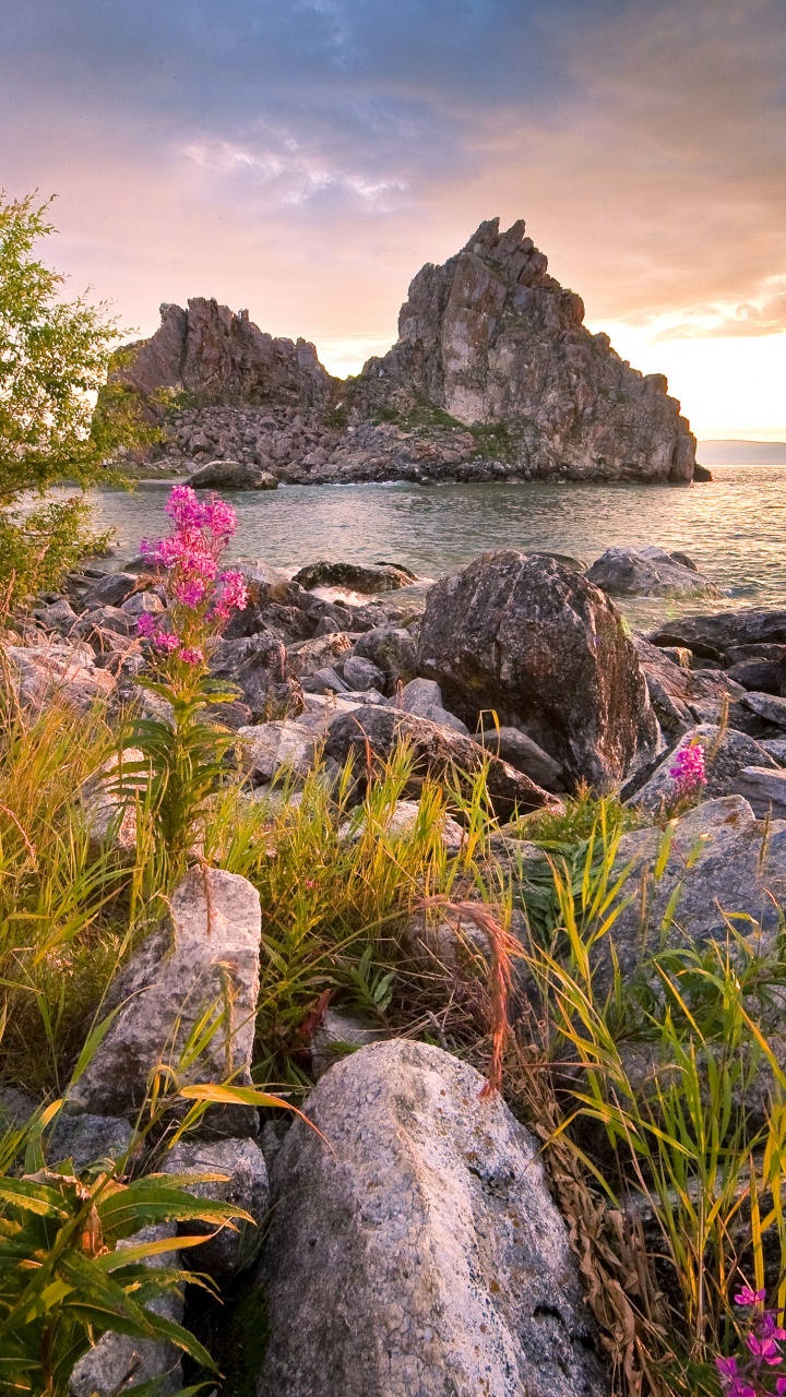 性质, 植被, 野花, 弹簧, 海岸 壁纸 720x1280 允许
