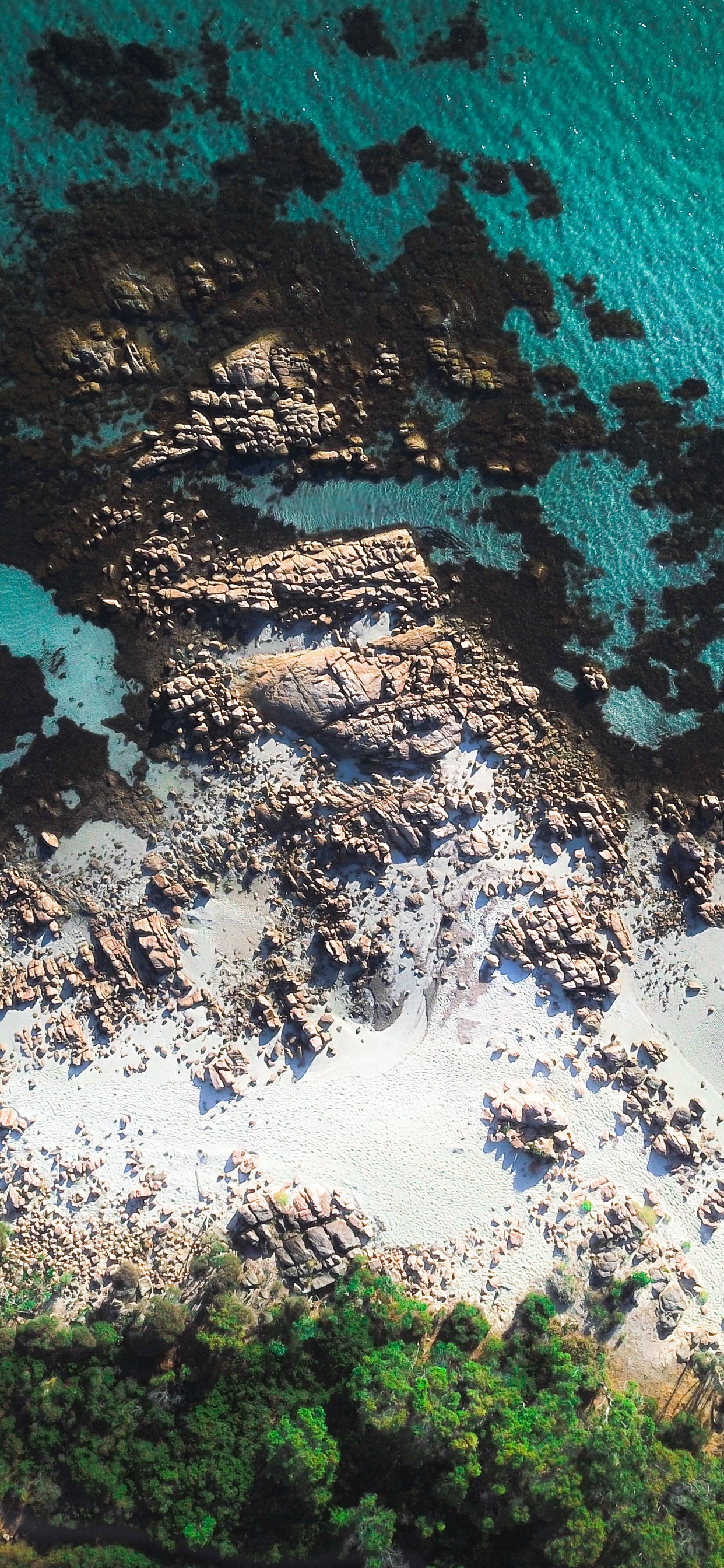 Blue, Eau, Turquoise, Mer, Côte. Wallpaper in 1242x2688 Resolution