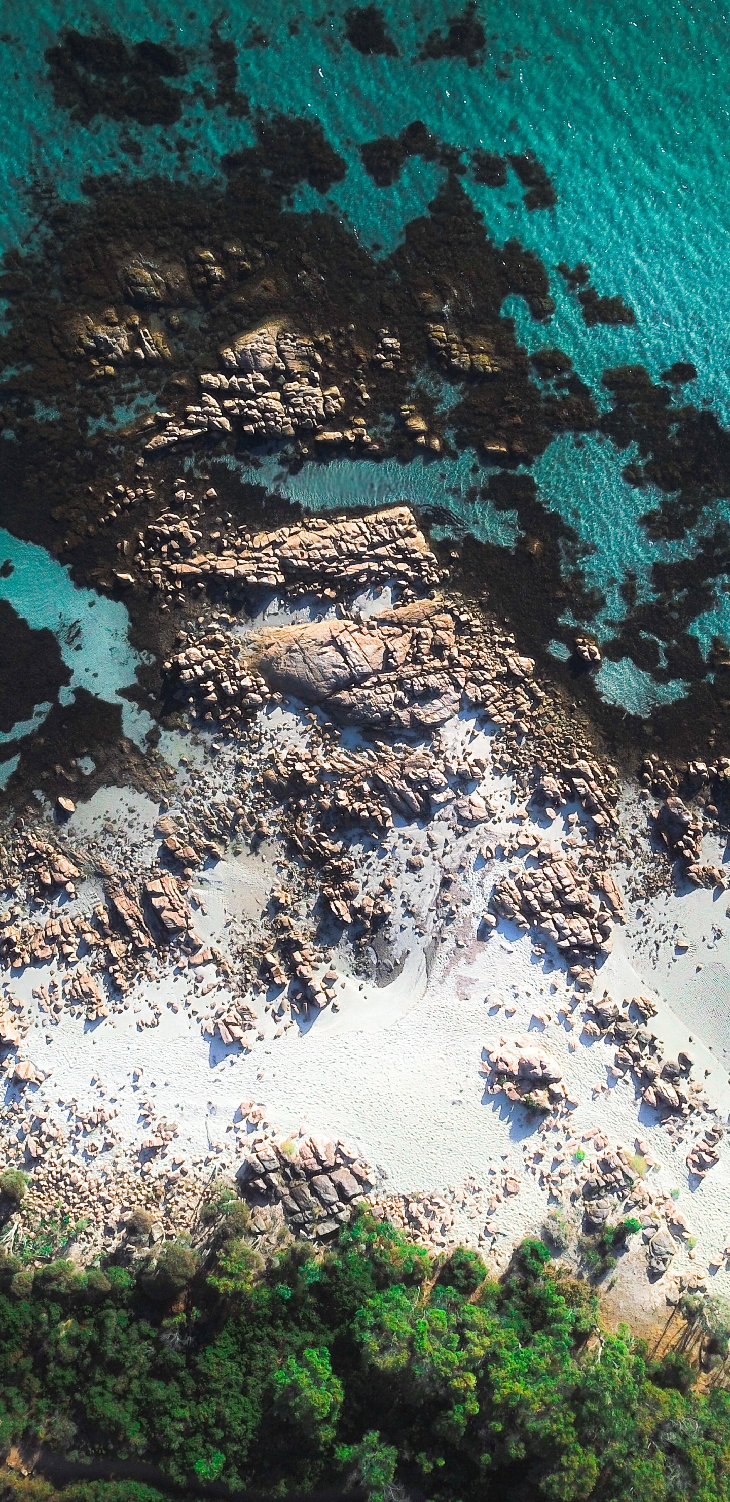 Blue, Eau, Turquoise, Mer, Côte. Wallpaper in 1440x2960 Resolution