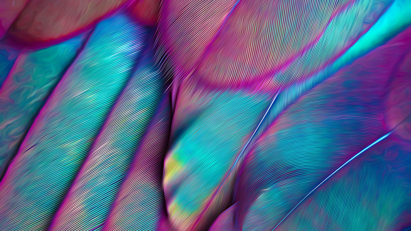 Pájaros, Loro, La Estética, Morado, Pétalo. Wallpaper in 1366x768 Resolution