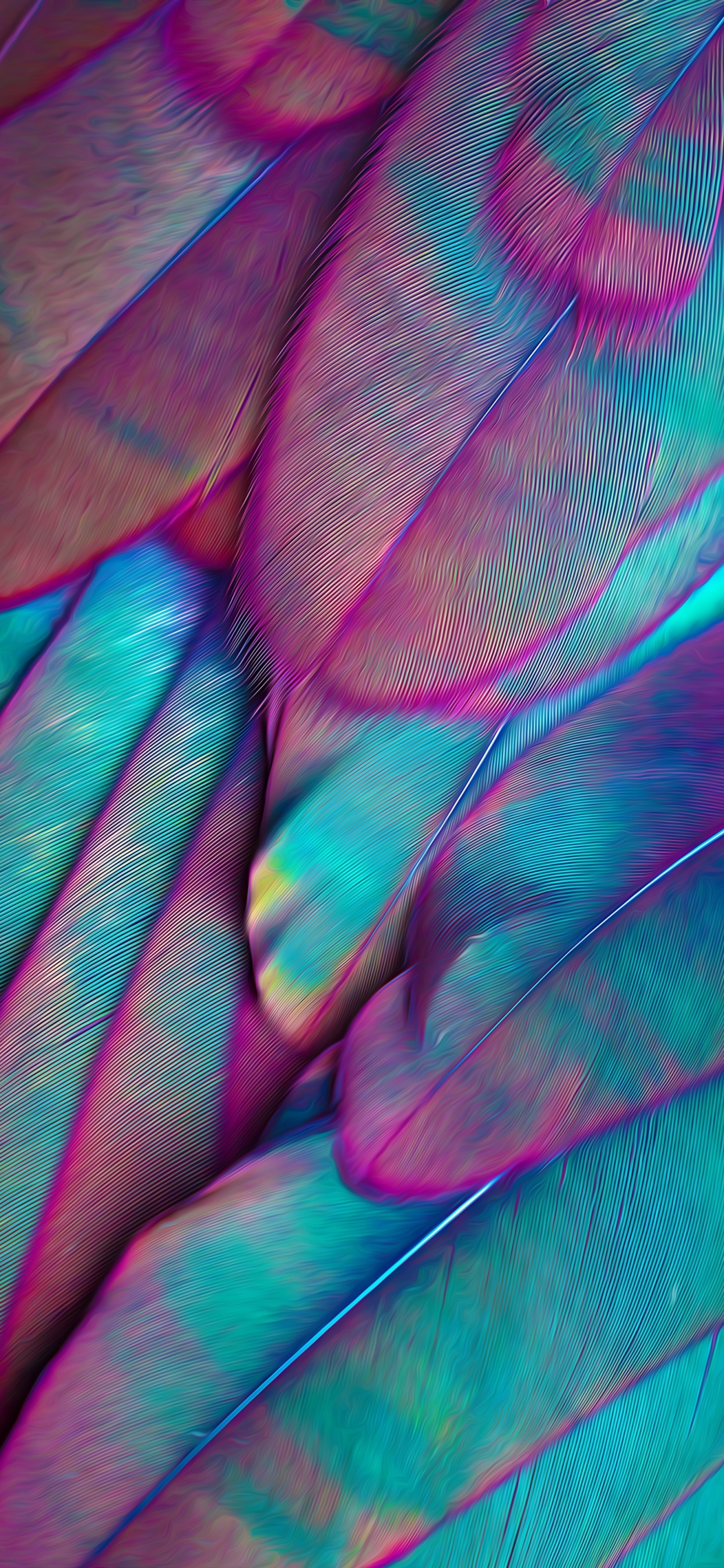 Plume, Esthétique, Purple, Pétale, Textile. Wallpaper in 1242x2688 Resolution