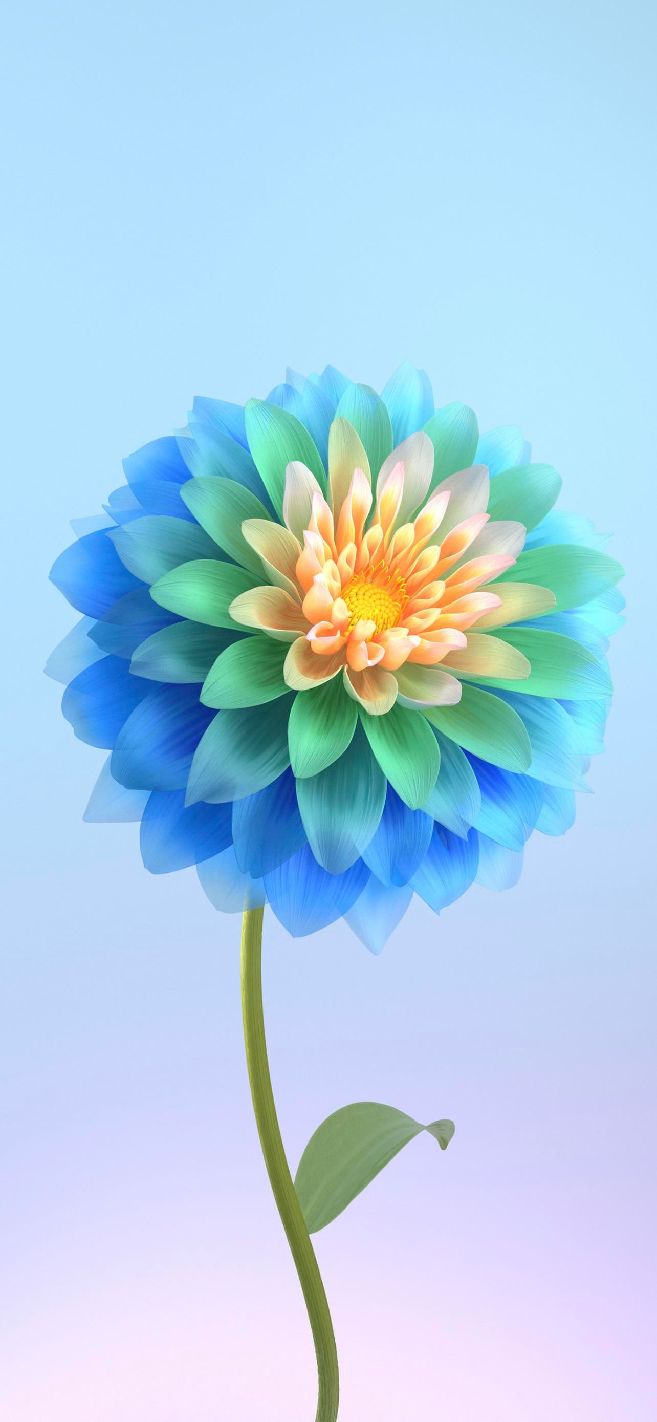 200000 Beautiful HD Flower Wallpapers  Pixabay