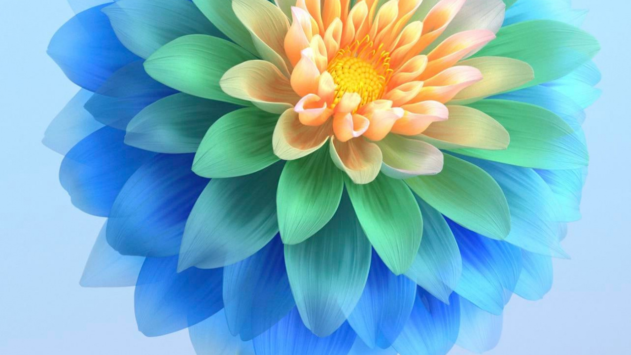 性质, 创造性的艺术, 显花植物, 艺术, 电蓝色的 壁纸 1280x720 允许