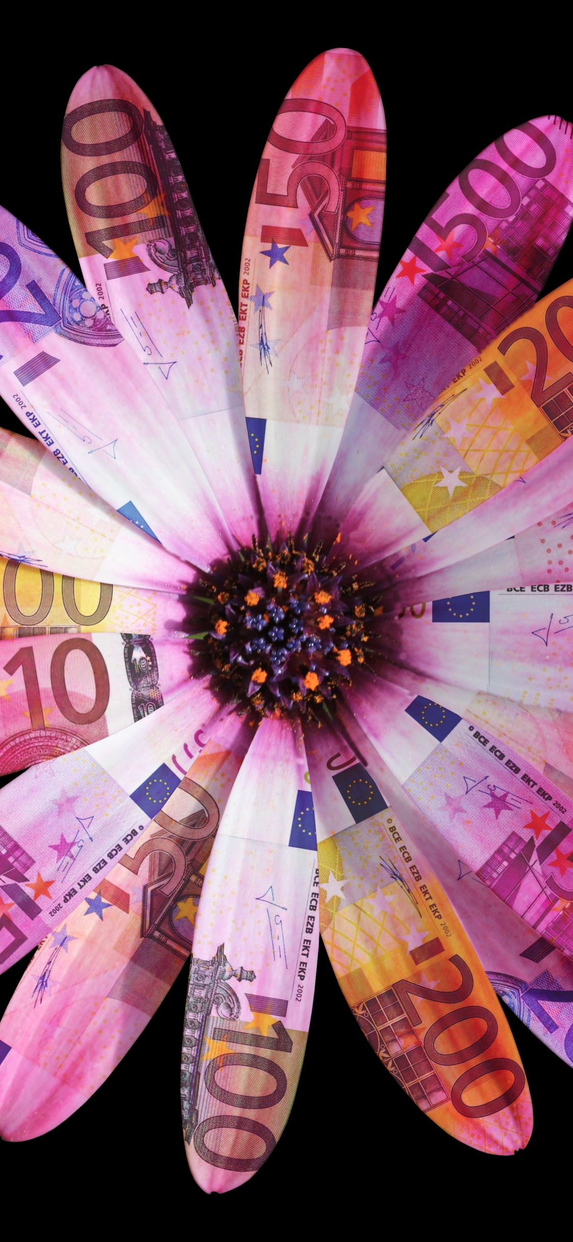 Flor de Margarita Roja y Amarilla. Wallpaper in 1125x2436 Resolution