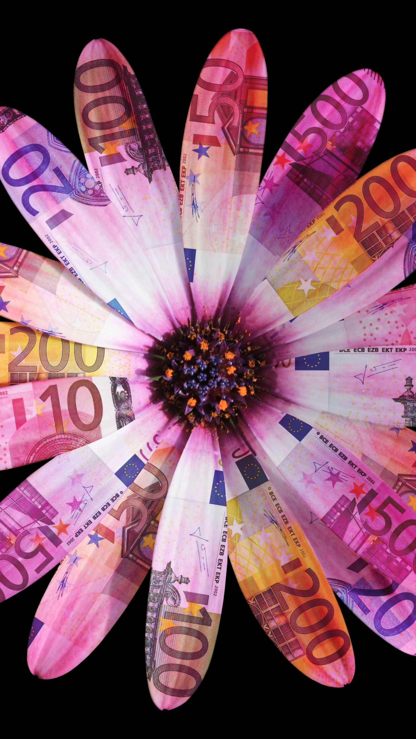 Flor de Margarita Roja y Amarilla. Wallpaper in 1440x2560 Resolution