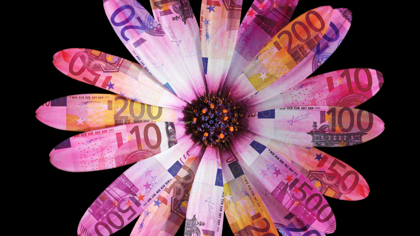 粉红色, 紫色的, 手, 手指, 非洲菊 壁纸 1366x768 允许