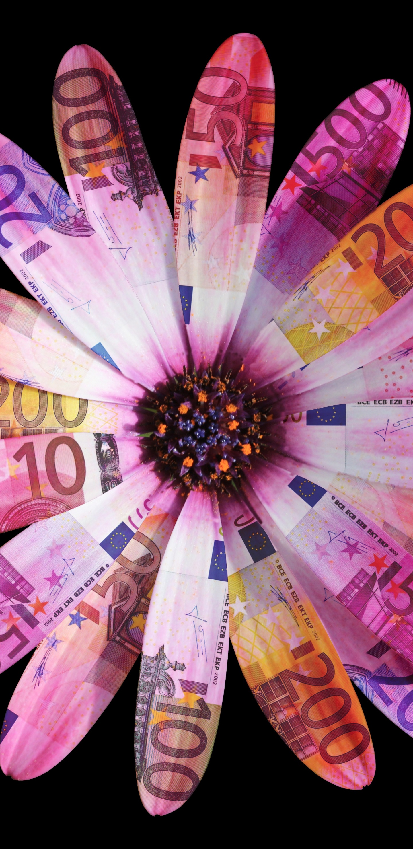 粉红色, 紫色的, 手, 手指, 非洲菊 壁纸 1440x2960 允许