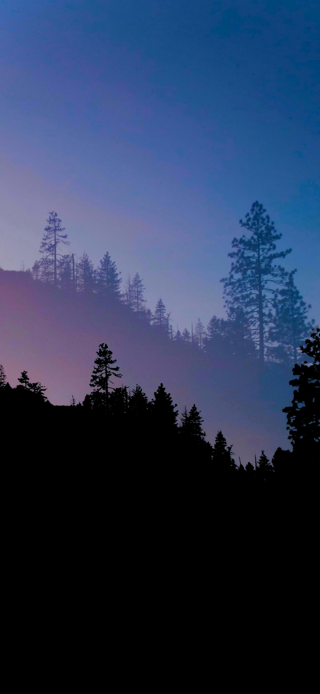 Blaue Waldästhetik, Atmosphäre, Ökoregion, Naturlandschaft, Baum. Wallpaper in 1125x2436 Resolution