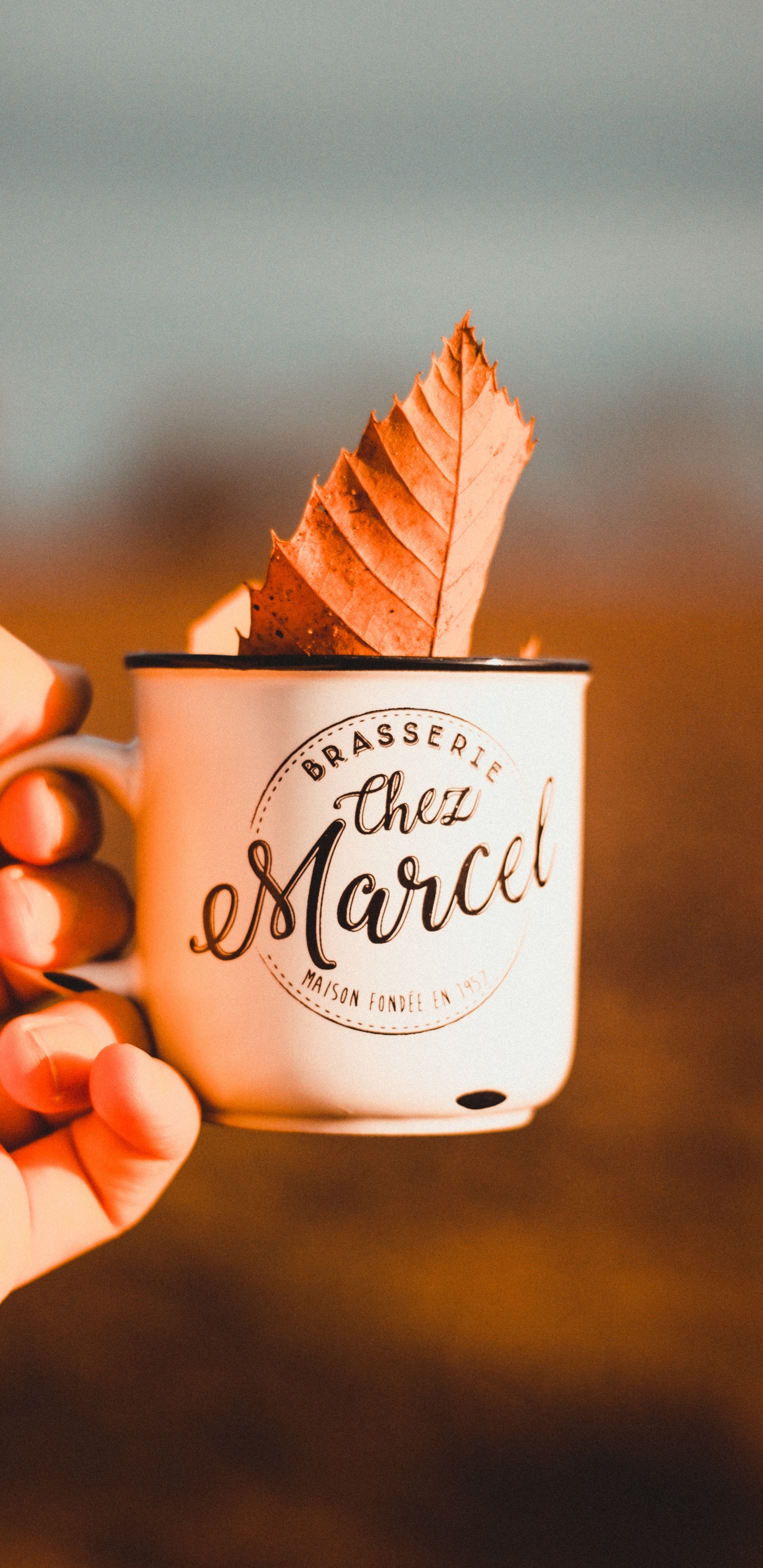 食品, 甜头, 冰淇淋, 冷冻甜点, 甜点 壁纸 1440x2960 允许