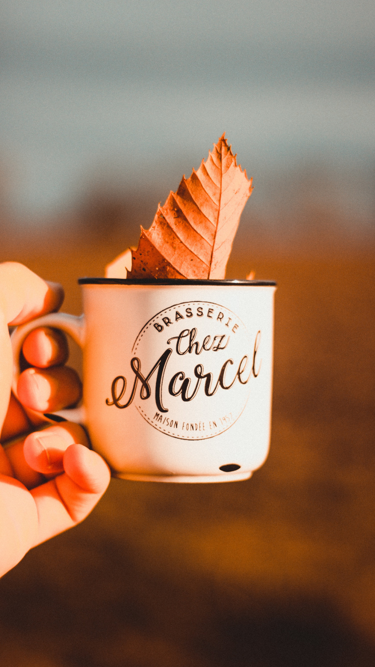 食品, 甜头, 冰淇淋, 冷冻甜点, 甜点 壁纸 750x1334 允许