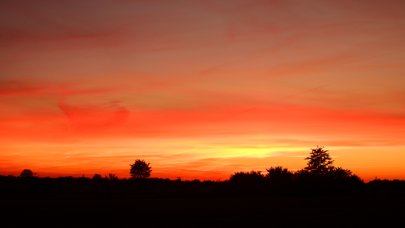 Cloud, Baum, Naturlandschaft, Afterglow, Ebene. Wallpaper in 1366x768 Resolution