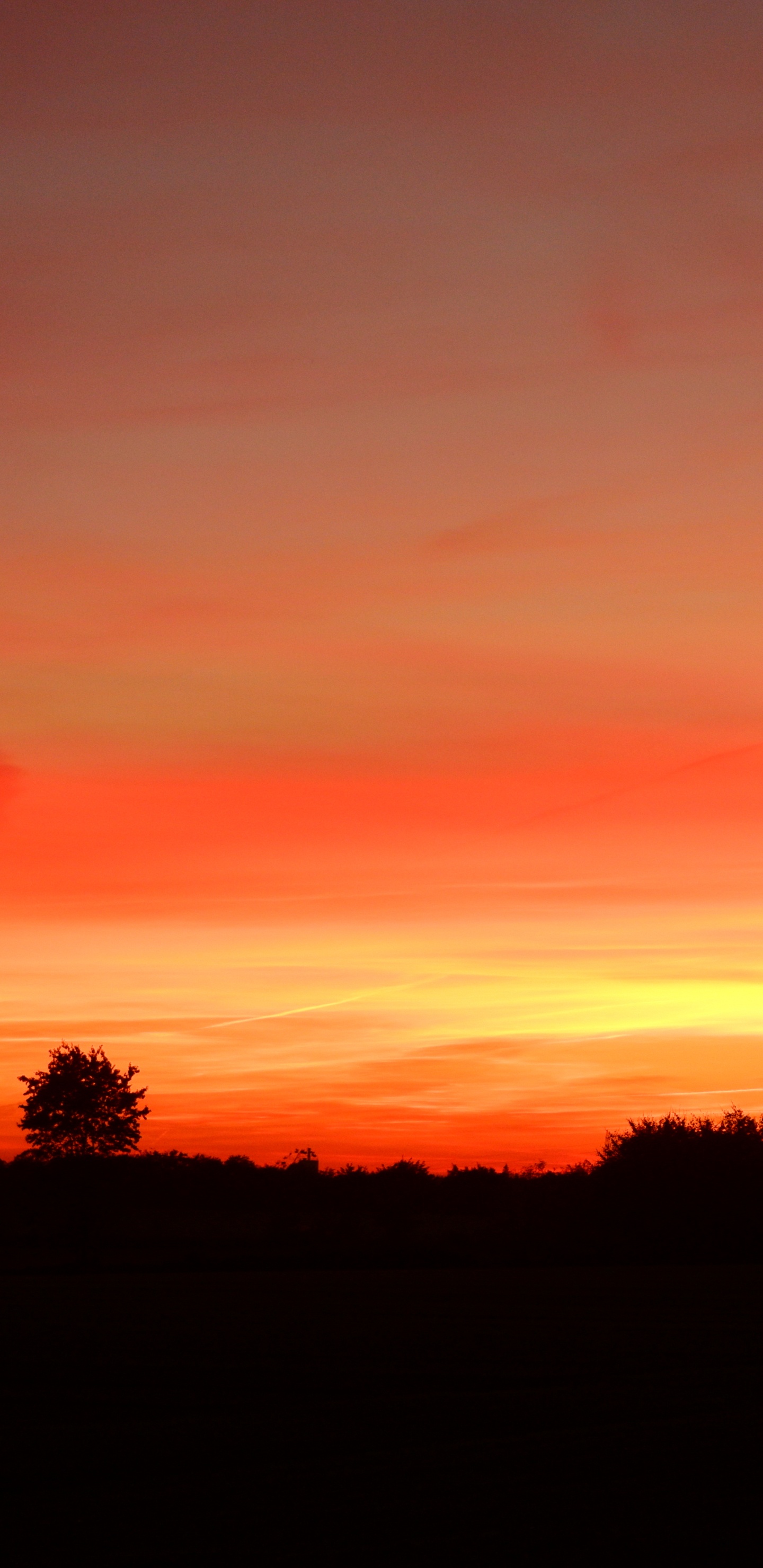 Cloud, Tree, Natural Landscape, Afterglow, Dusk. Wallpaper in 1440x2960 Resolution