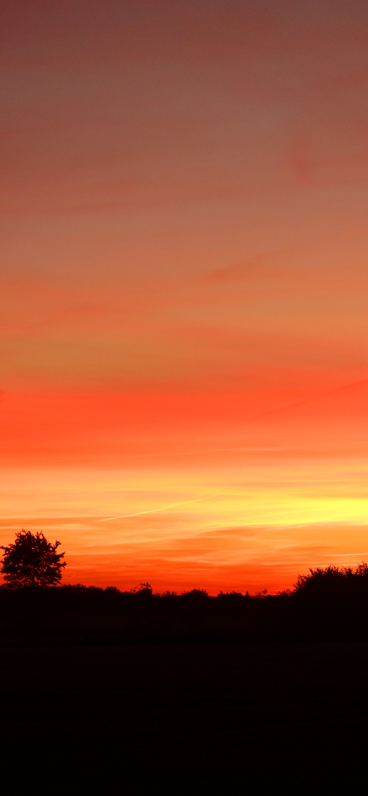 Paysage Naturel, Afterglow, Plaine, Zone Rurale. Wallpaper in 1242x2688 Resolution