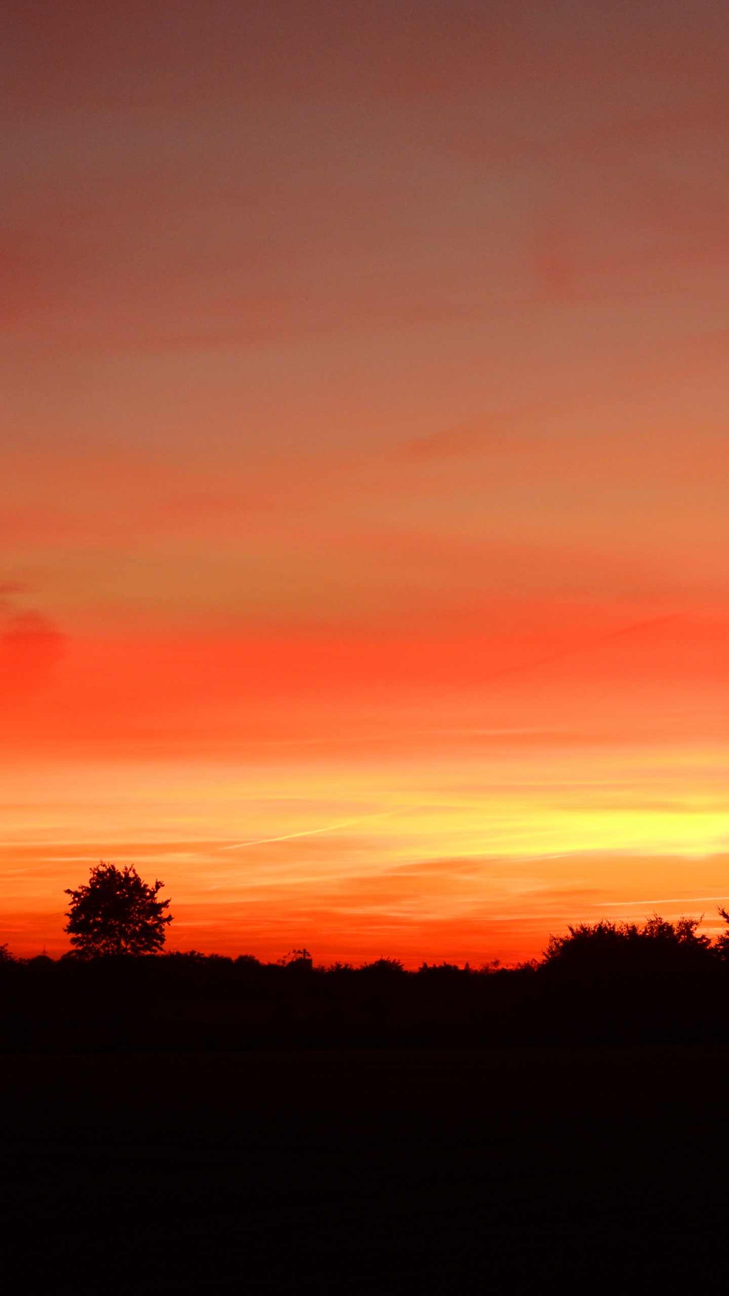 Paysage Naturel, Afterglow, Plaine, Zone Rurale. Wallpaper in 1440x2560 Resolution