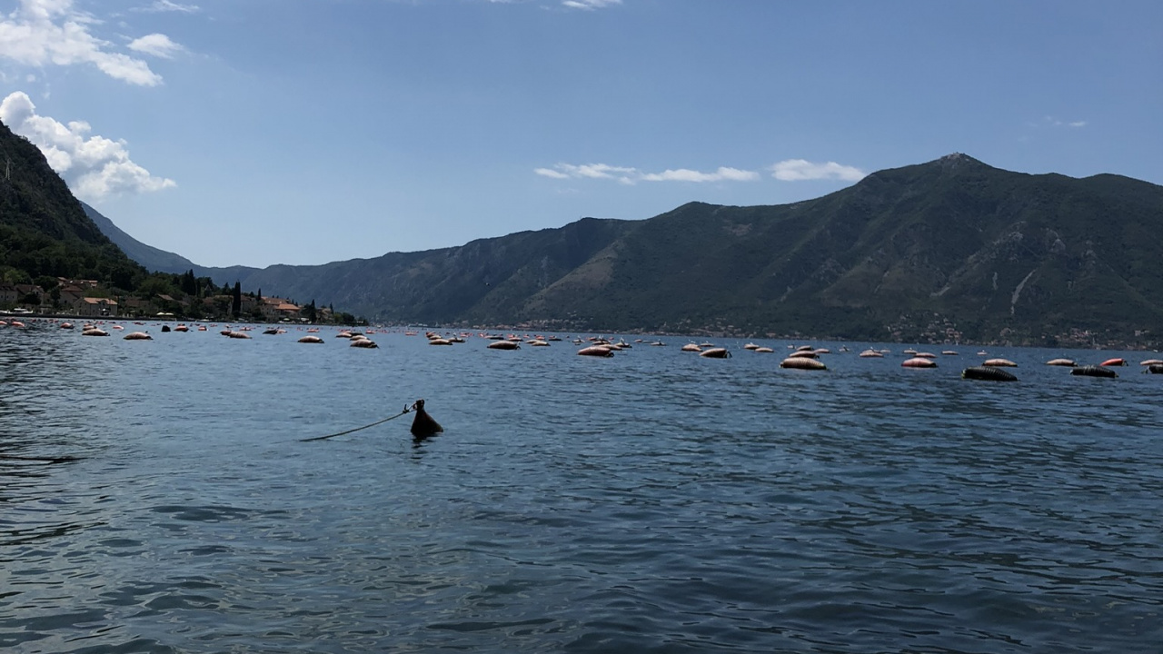 Agua, Fiordo, Las Formaciones Montañosas, Ostra, Bivalvo. Wallpaper in 1280x720 Resolution