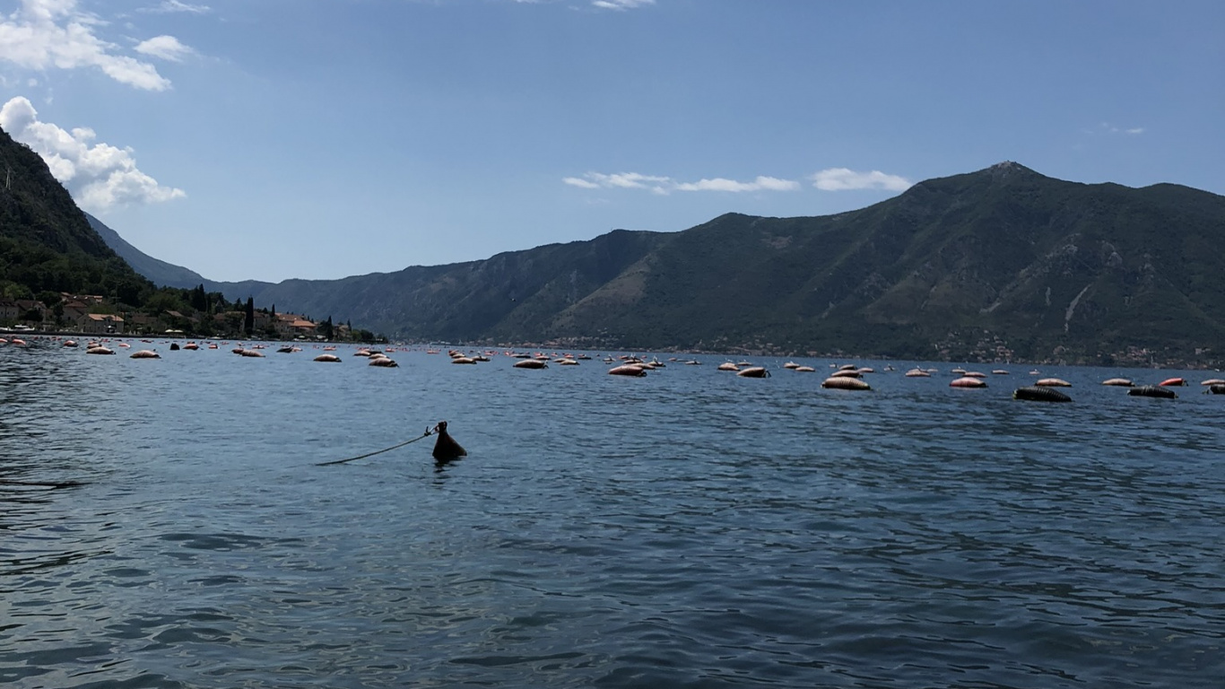 峡湾, 多山的地貌, 食品, 山脉, 成分 壁纸 1366x768 允许