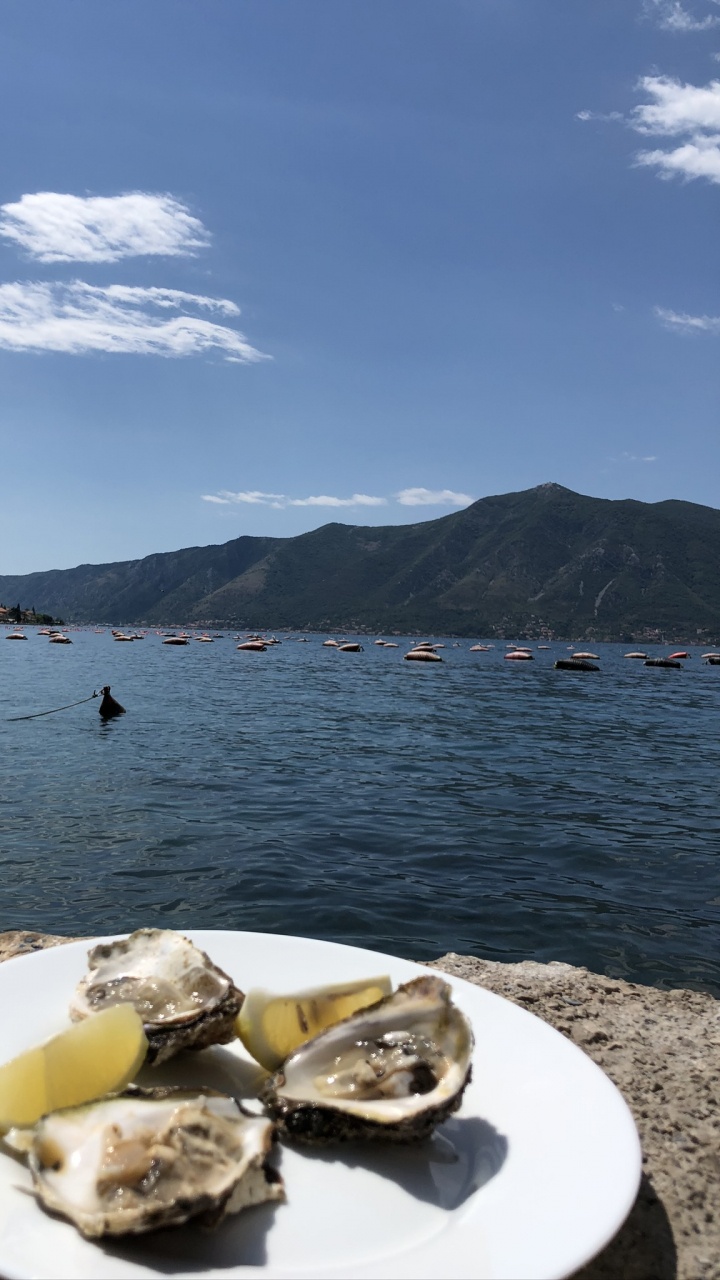 峡湾, 多山的地貌, 食品, 山脉, 成分 壁纸 720x1280 允许