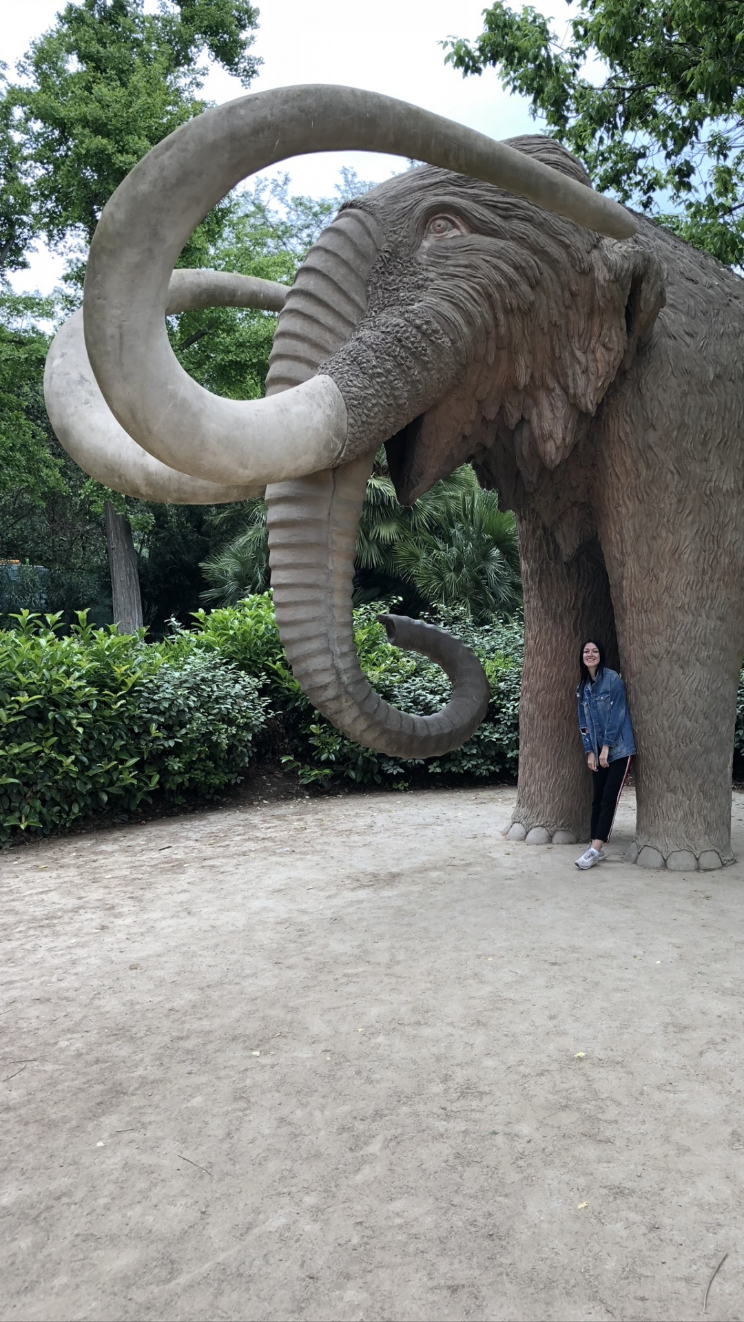 Parc de la Ciutadella, African Elephants, Terrestrial Animal, Indian Elephant, Elephant. Wallpaper in 1080x1920 Resolution