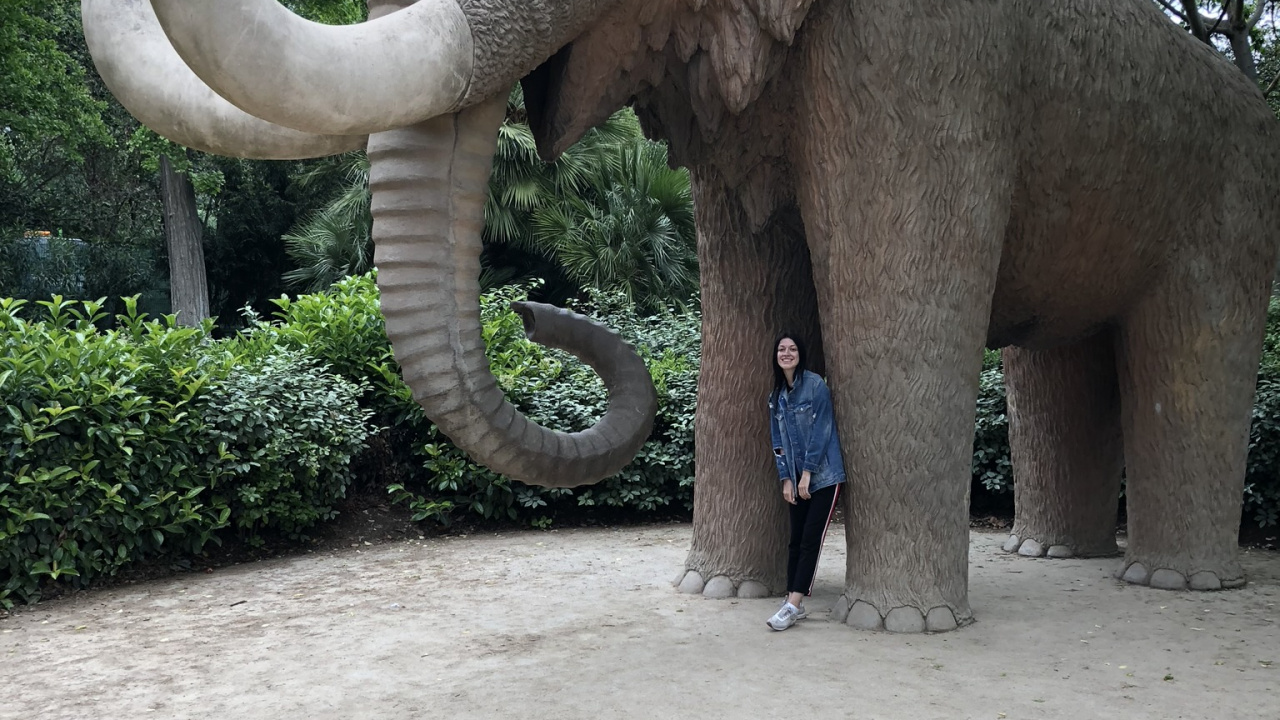 Parc de la Ciutadella, African Elephants, Terrestrial Animal, Indian Elephant, Elephant. Wallpaper in 1280x720 Resolution