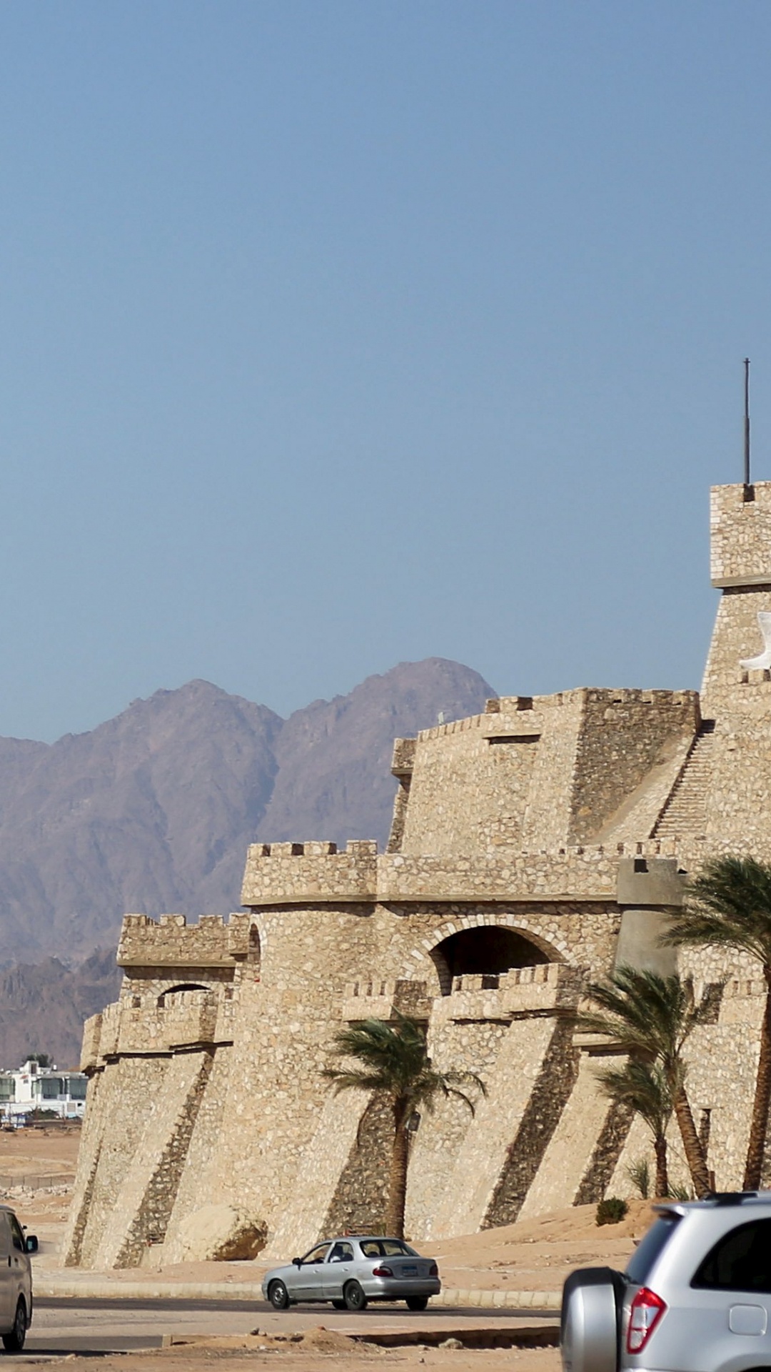 开罗, 旅行, 航班, 俄罗斯, 天空 壁纸 1080x1920 允许