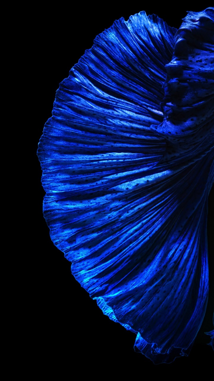 Huawei Nova, Huawei Nova 4, 新4, 华为nova 5t, 华为nova 4e 壁纸 720x1280 允许