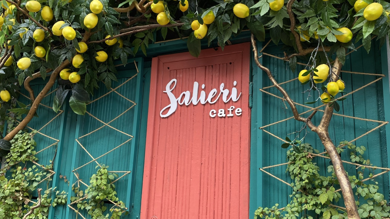 la Floración de la Planta, Azul Majorelle, la Física, Amarillo, Madera. Wallpaper in 1280x720 Resolution