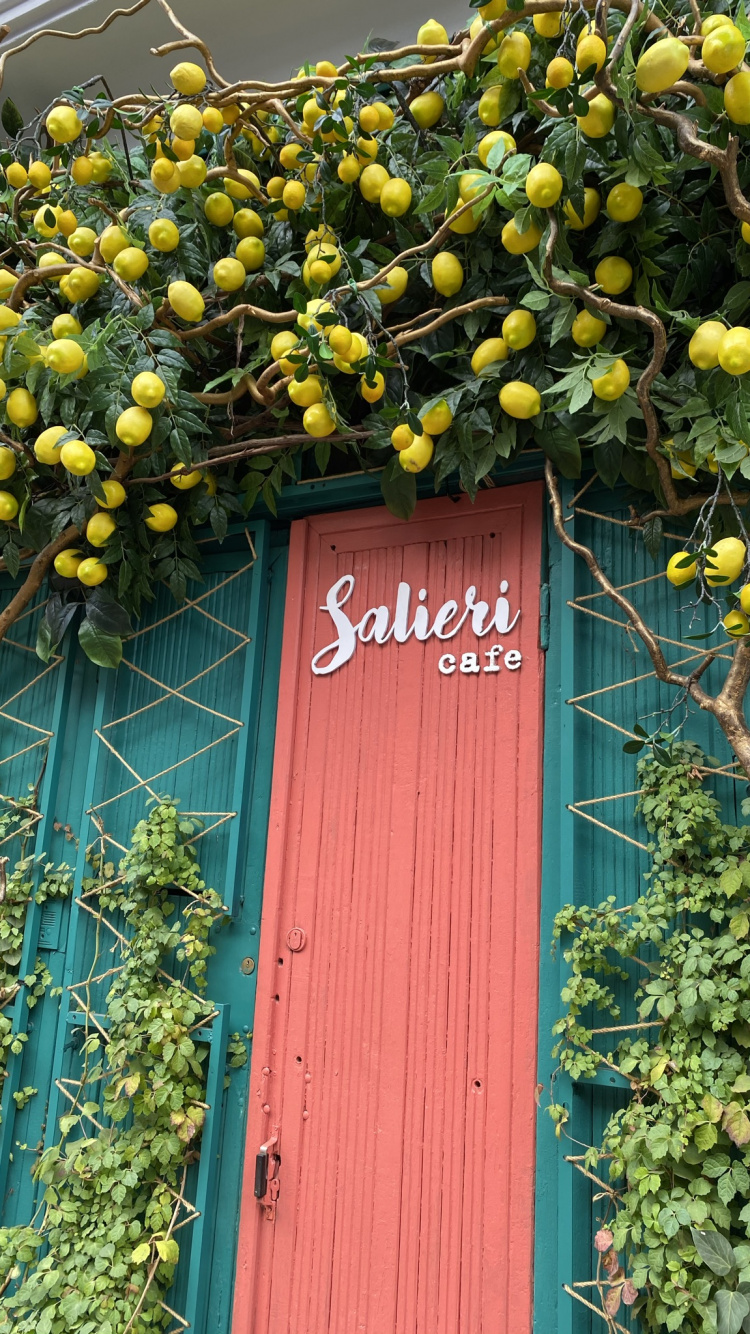 la Floraison de la Plante, Bleu Majorelle, Physique, Jaune, Fruits. Wallpaper in 750x1334 Resolution