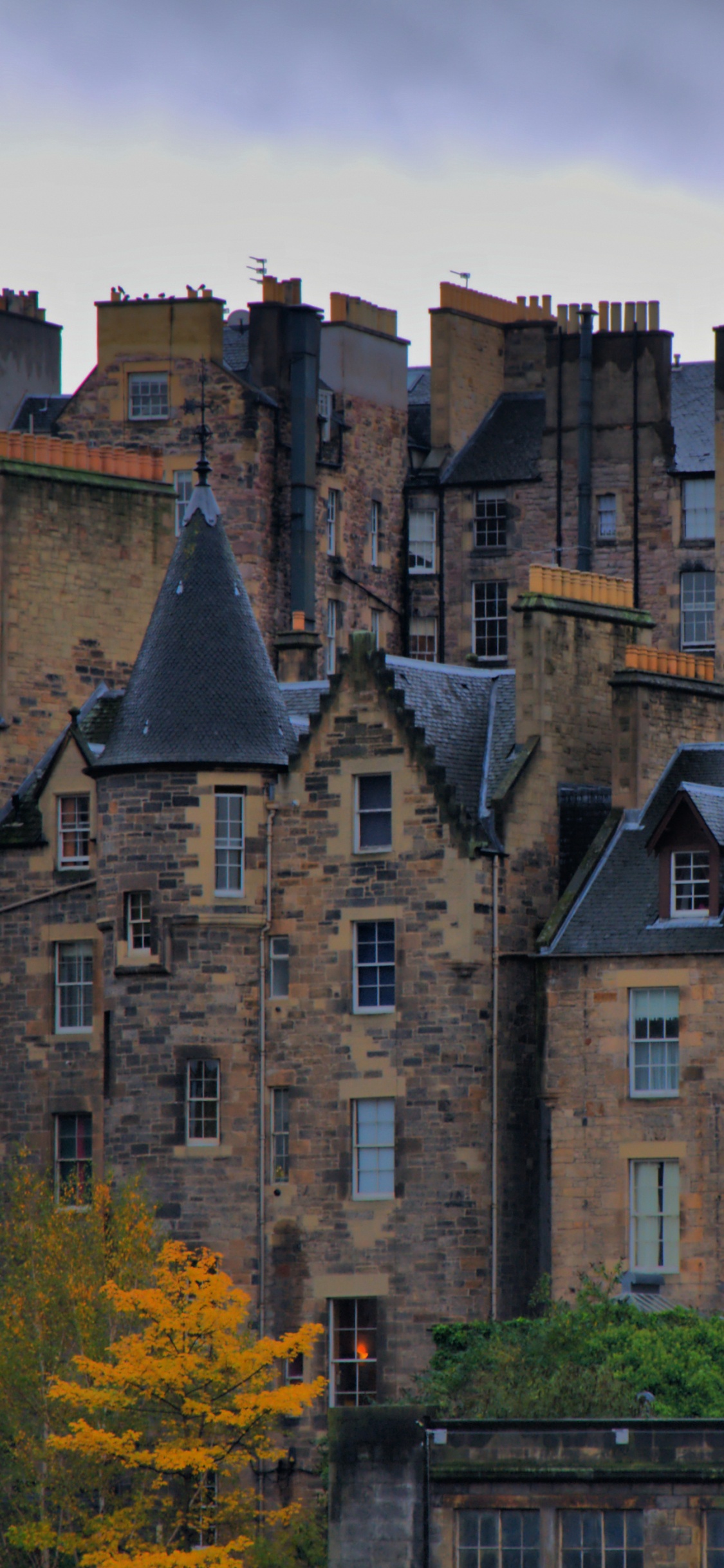 Edificio de Hormigón Marrón Cerca de Árboles Verdes Durante el Día. Wallpaper in 1125x2436 Resolution