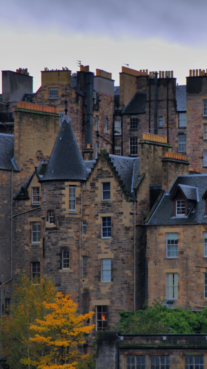 Braunes Betongebäude in Der Nähe Von Grünen Bäumen Tagsüber. Wallpaper in 720x1280 Resolution