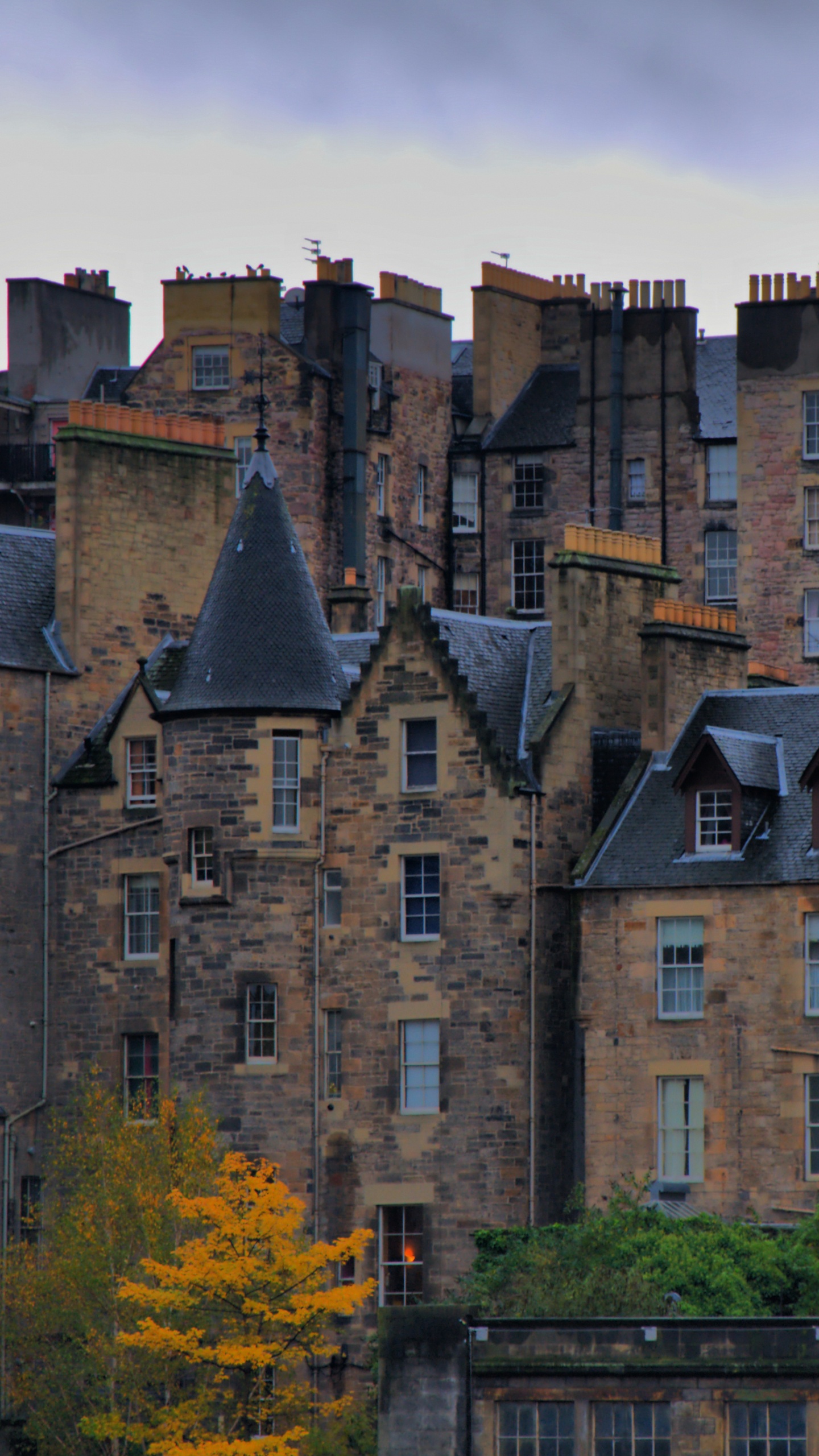 Brown Concrete Building Near Green Trees During Daytime. Wallpaper in 1440x2560 Resolution