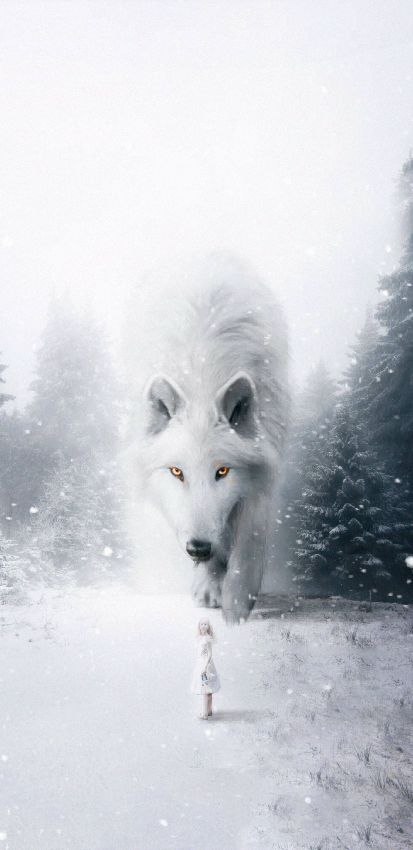 Loup Blanc Sur Sol Couvert de Neige Pendant la Journée. Wallpaper in 1440x2960 Resolution