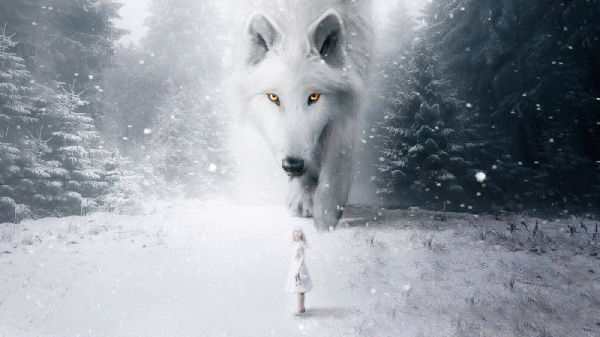 Weißer Wolf Auf Schneebedecktem Boden Tagsüber. Wallpaper in 1920x1080 Resolution