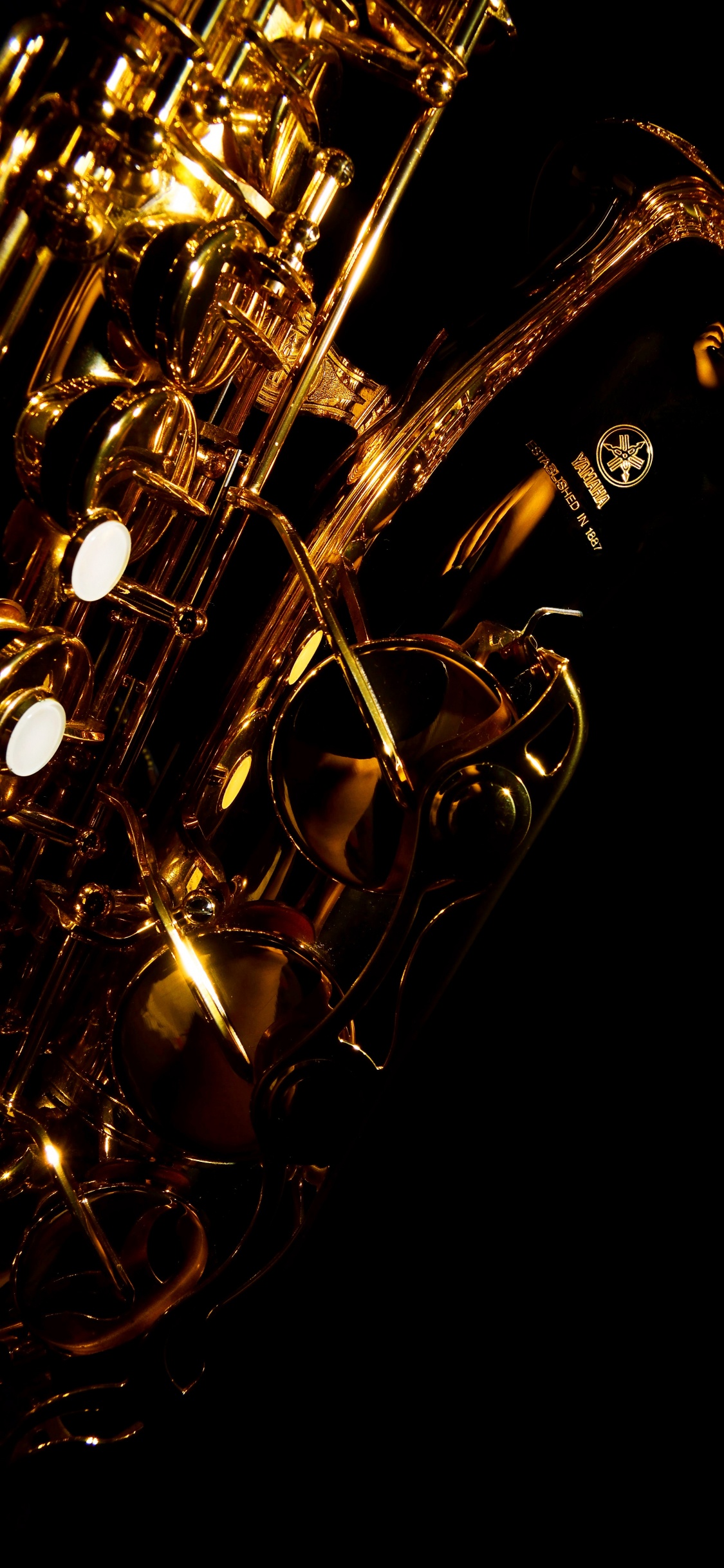 Trumpet, Saxophone, Brass Instrument, Wind Instrument, Violin. Wallpaper in 1125x2436 Resolution