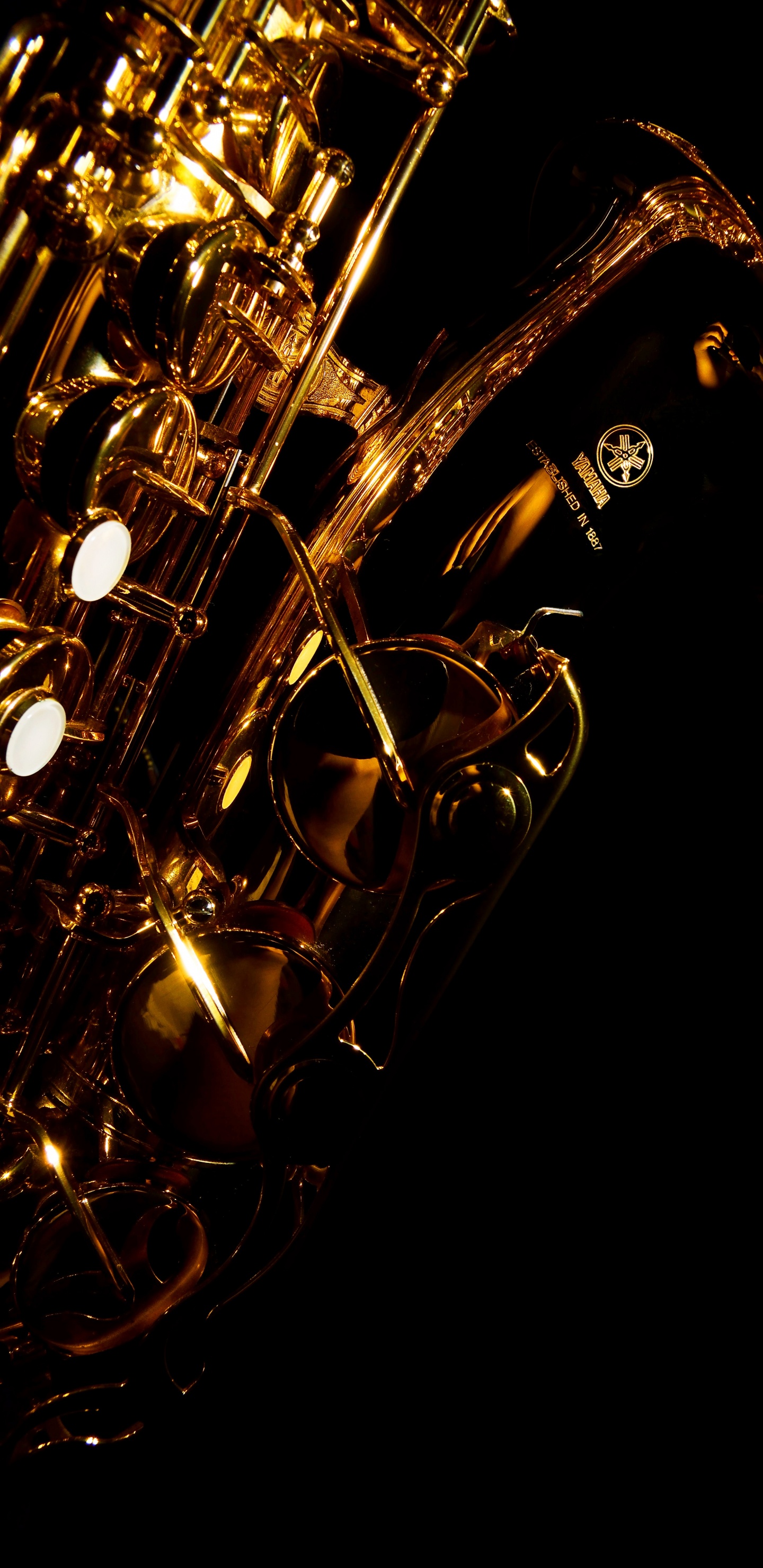 Trumpet, Saxophone, Brass Instrument, Wind Instrument, Violin. Wallpaper in 1440x2960 Resolution