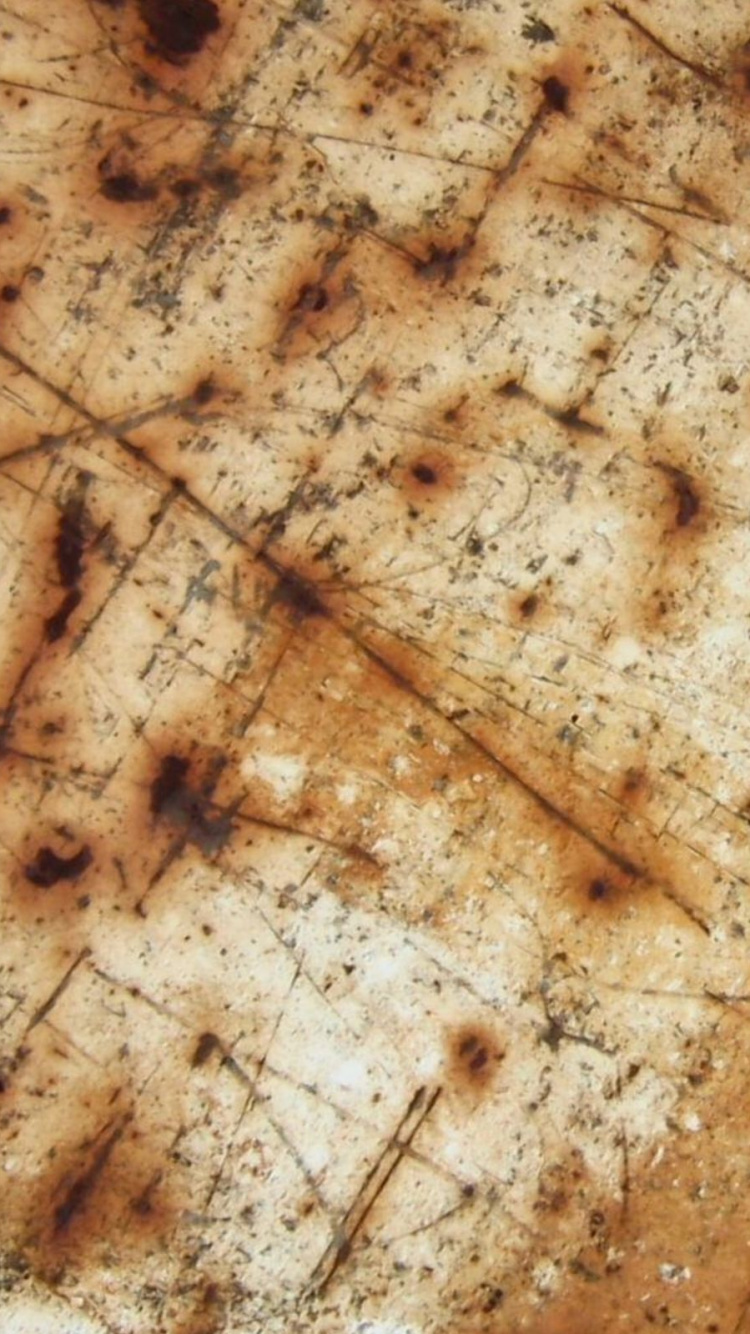 Brown and Black Wooden Surface. Wallpaper in 750x1334 Resolution