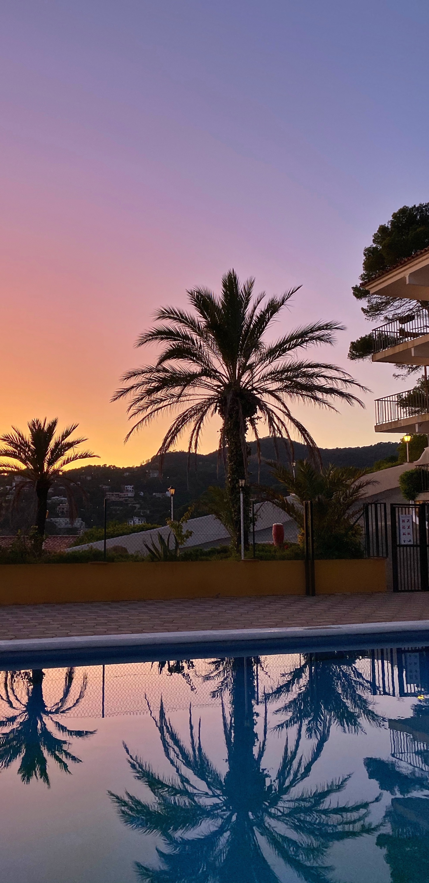 Réflexion, Palmier, Eau, Immobilier, Resort. Wallpaper in 1440x2960 Resolution