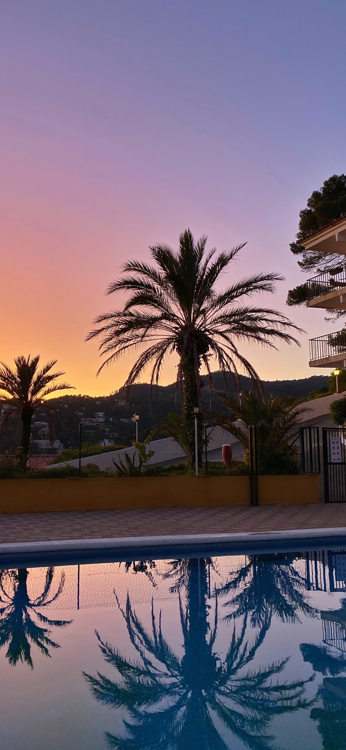 Reflexion, Pool, Palme, Wasser, Immobilie. Wallpaper in 1125x2436 Resolution