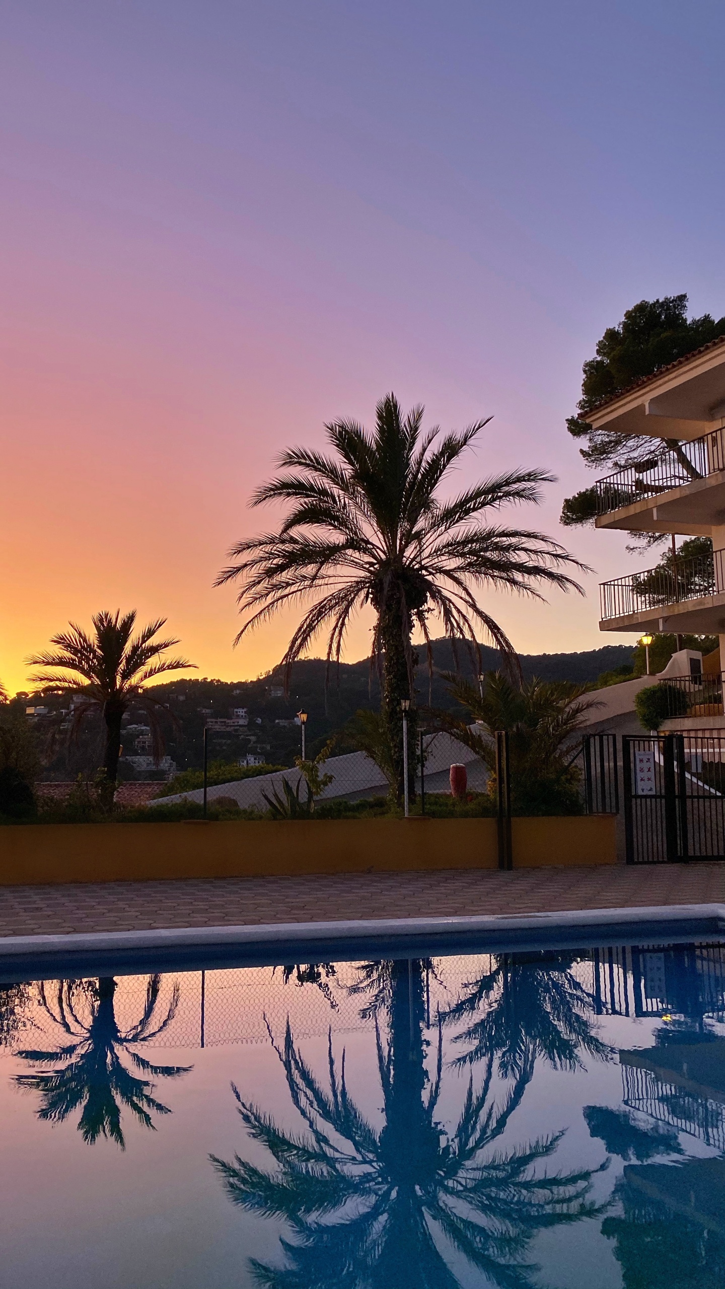 Reflexion, Pool, Palme, Wasser, Immobilie. Wallpaper in 1440x2560 Resolution