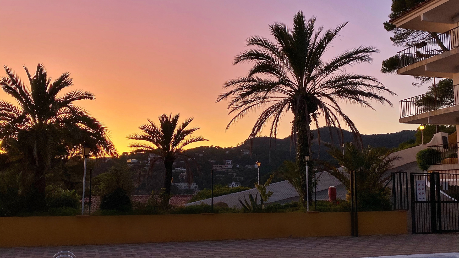 Reflexion, Pool, Palme, Wasser, Immobilie. Wallpaper in 1920x1080 Resolution